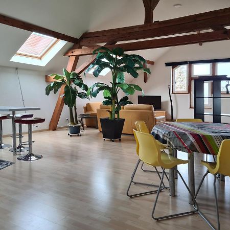 Grange Des Arts Villa Saint-Nabor Bagian luar foto